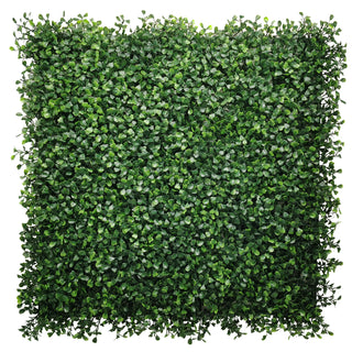 Comprar boxwood-green-dark Muro Verde