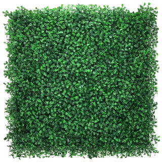 Comprar boxwood-green Muro Verde