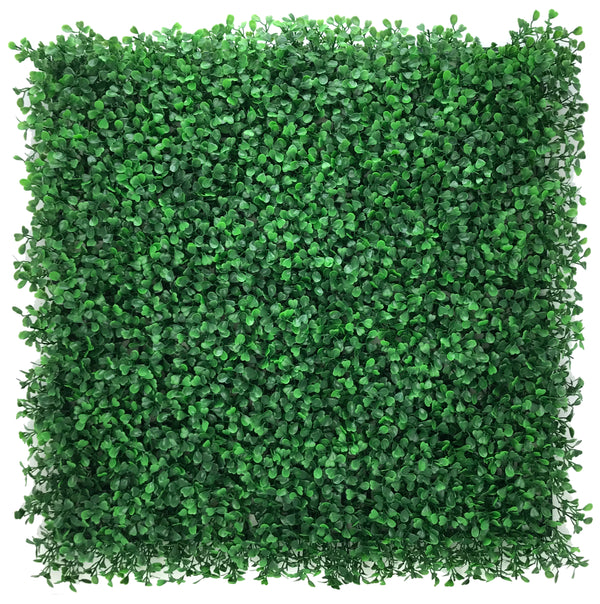 Muro Verde
