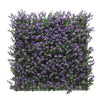 Pachysandra Buxus Purple