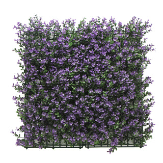 Comprar pachysandra-buxus-purple Muro Verde